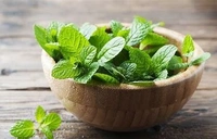 Mint - Pudina - Pudina Patta - (1bunch)