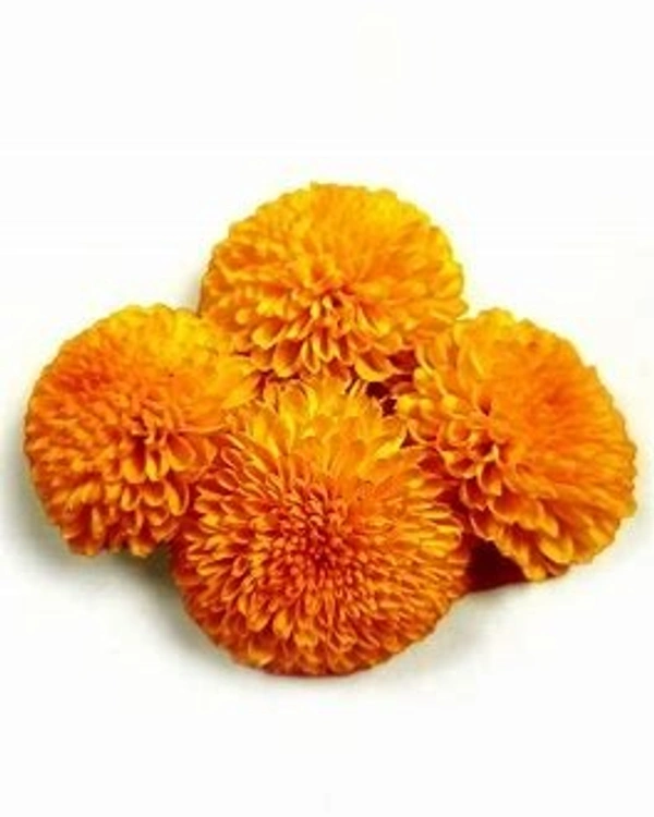 Marigold ( Orange - गुलेल फूल (Gulail Phool) Zendu - (250g)
