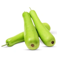 Lauki ( Bottle Gourd)