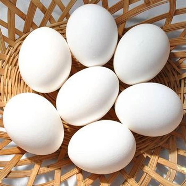 Egg