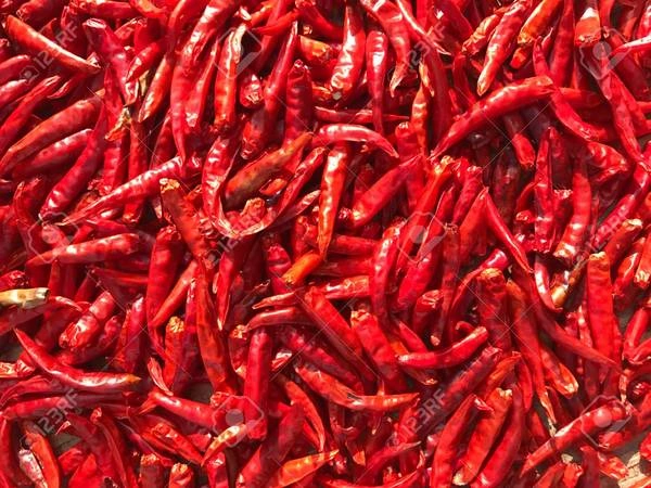 Milagai Samba  - 1kg