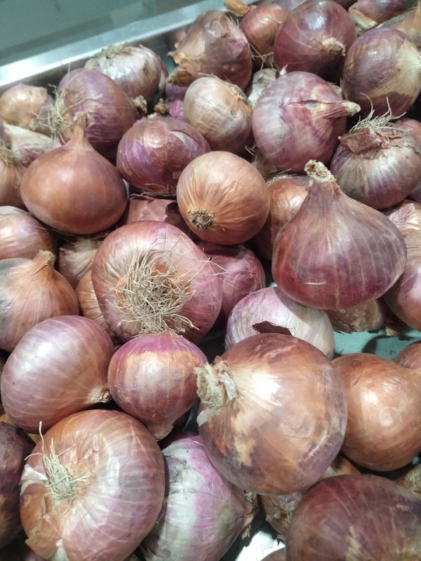 Onion 🧅