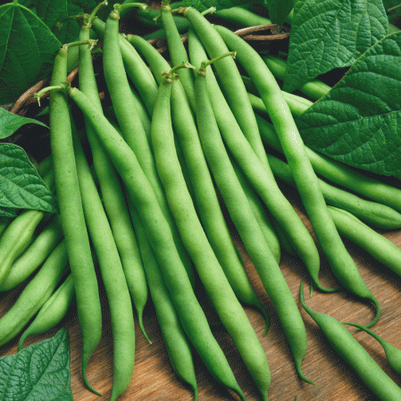 Beans 250gm
