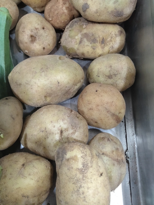 Potato 500gm
