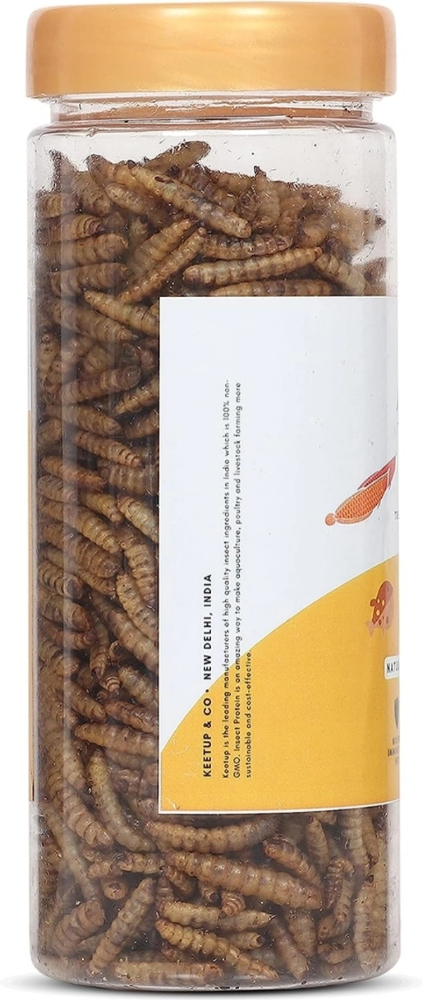 KEETUP Dried Black Soldier Fly Larvae Treat - Fish Food for Arowana, Oscar, Flowerhorn & Other Carnivorous Fishes - Omega 3 & 6, 50x More Calcium Than Mealworms 