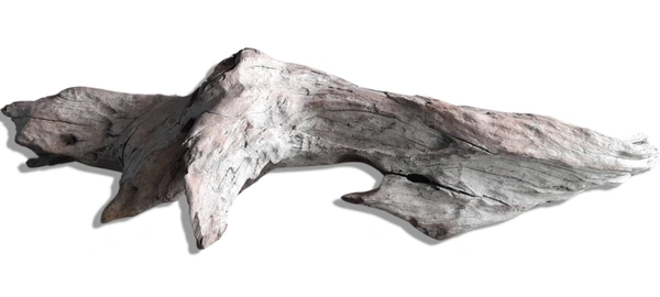 Natural 'Drift Wood' For Decor- Aquarium, Terrarium, Home & Garden etc.