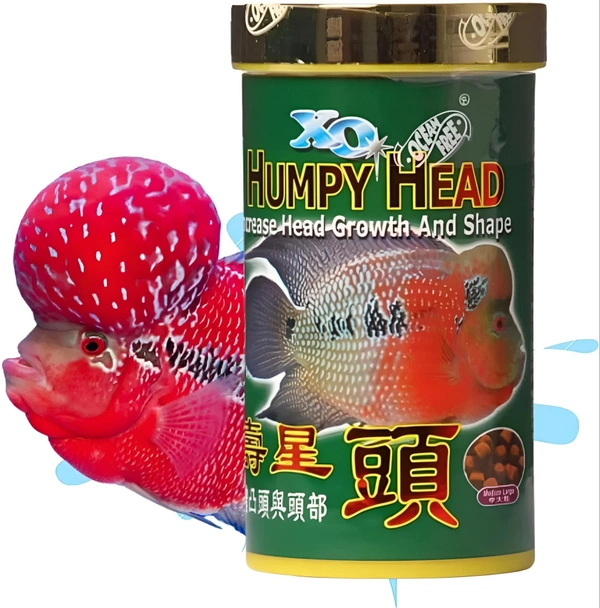 Humpy Head ( Original)100 Gm | Food For Flower Horn Fish | Increase Head Growth & Shape