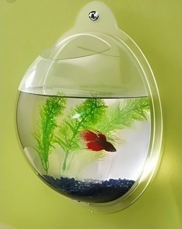 Wall Hanging Bowl Aquarium| Acrylic Aquarium| Suitable For Indoor or Outdoor