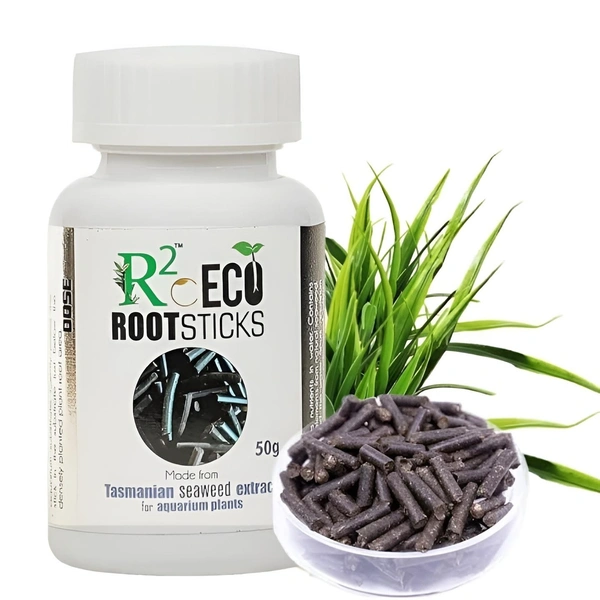 R2O Eco Root Sticks for Aquarium Plants – Natural Seaweed Extract Fertilizer, Boosts Healthy Growth, 50g