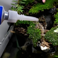 Aqua Green Pet Aquascaping Glue: Secure & Safe Adhesive for Aquariums - Bonds Corals, Plants & Rocks - 4 Gm