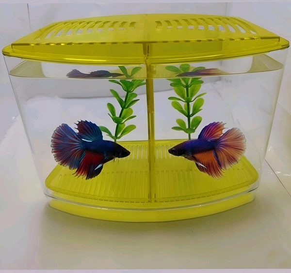 Taiyo Double House Betta/Fighter Fish Tank|Acrylic|With LED Light