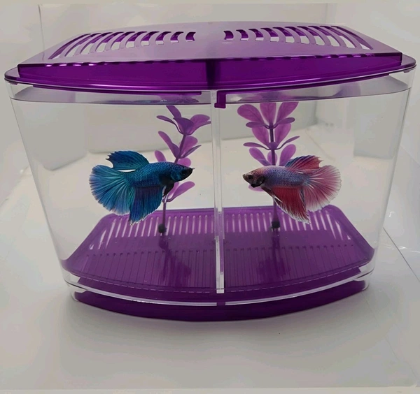 Taiyo Double House Betta/Fighter Fish Tank|Acrylic|With LED Light