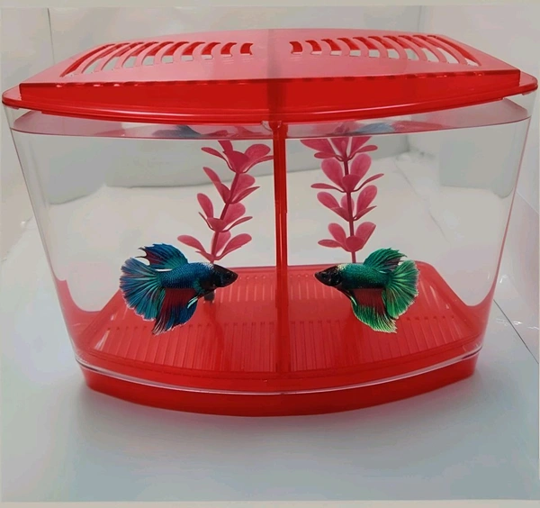 Taiyo Double House Betta/Fighter Fish Tank|Acrylic|With LED Light