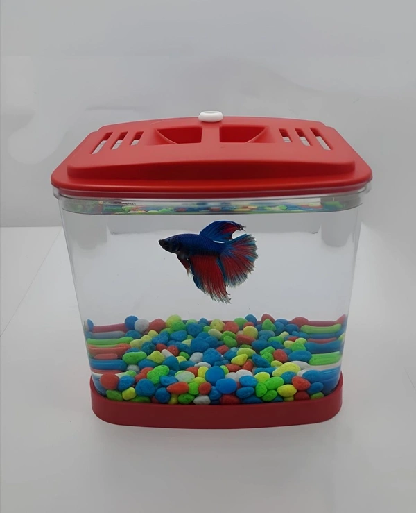 Single Betta House For Betta/Fighter Fish|ACRYLIC|With LED Light