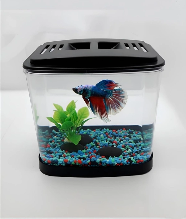 Single Betta House For Betta/Fighter Fish|ACRYLIC|With LED Light