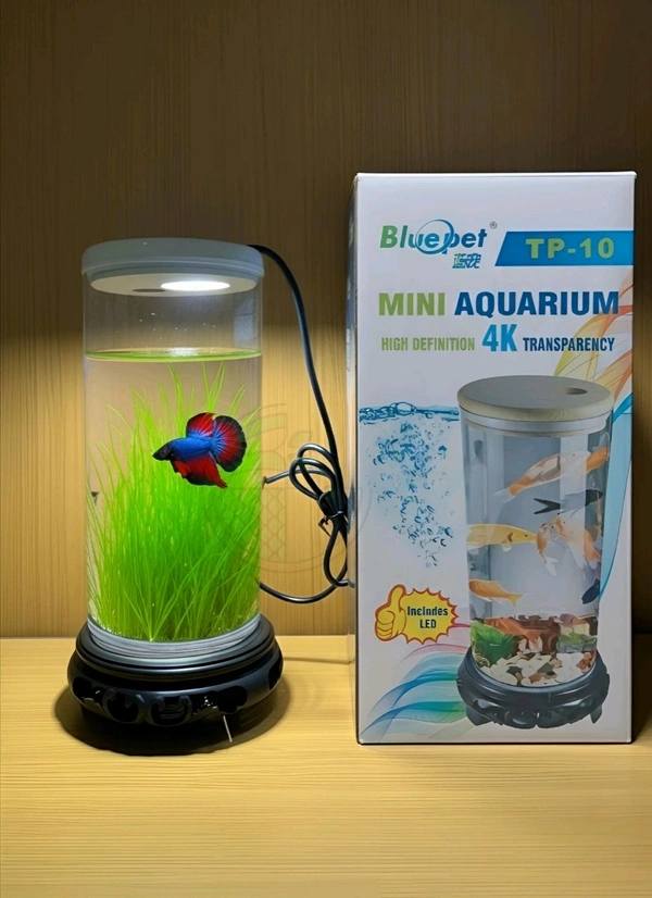 BluePet TP 10 Mini Aquarium – High Definition 4K Transparent Fish Tank with LED Light