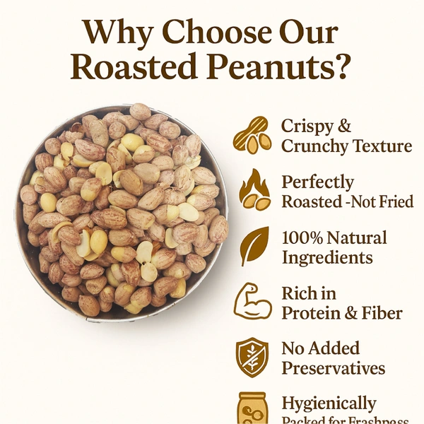 Santushti Namkeen Roasted Salted Peanuts / Khari Sing, 200 gms