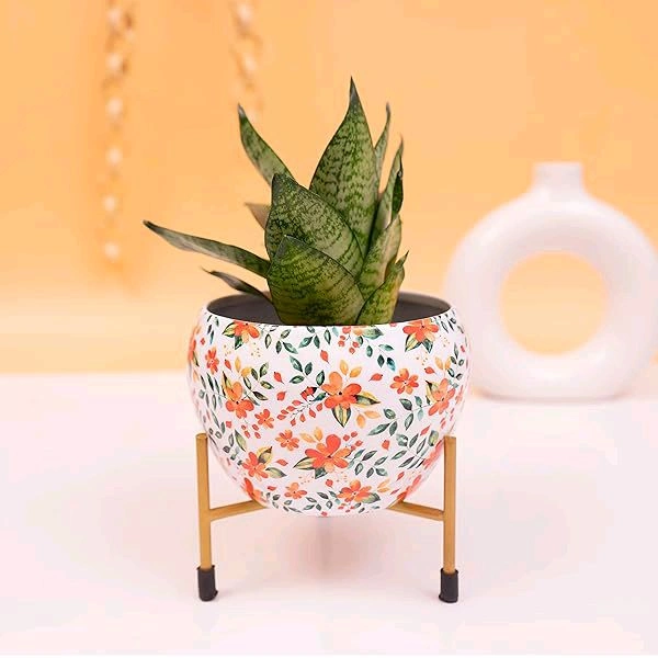 Mettal Pot With Stand 