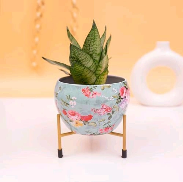 Mettal Pot With Stand 
