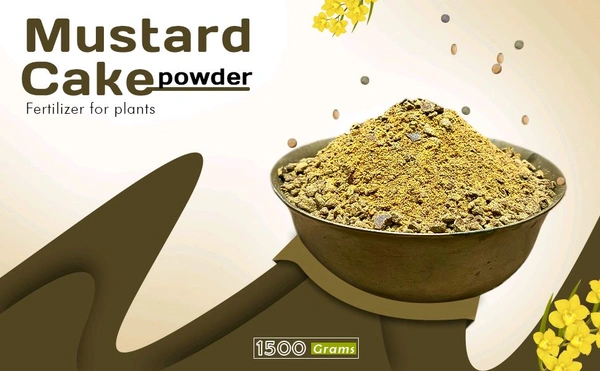 Mustard Cacke