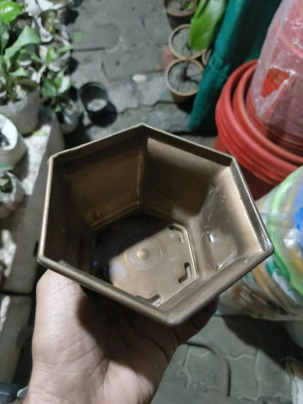 Hexa Pot 6"