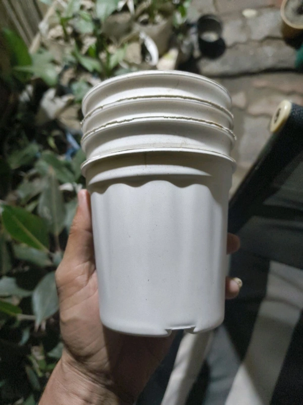 Nursery Pot 4"
