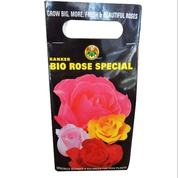 Rose Spaical 