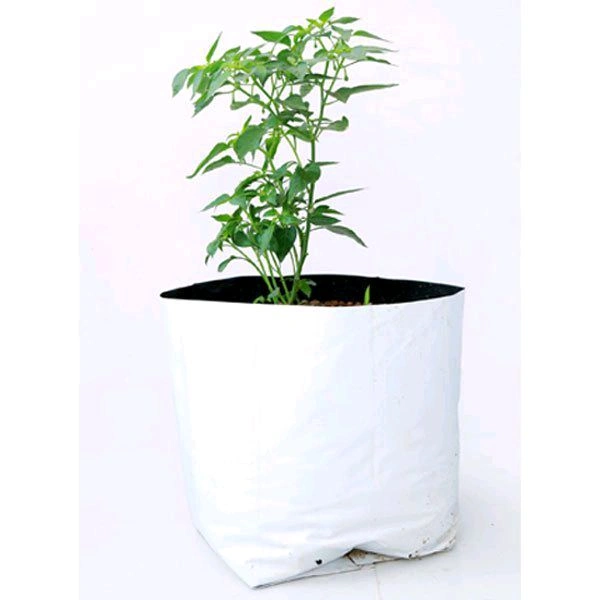 Grow Bg 5"