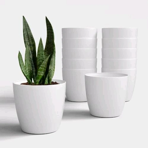 Eden 9"
