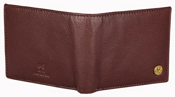 WILDHORN Men Formal Brown Genuine Leather Wallet - Brown