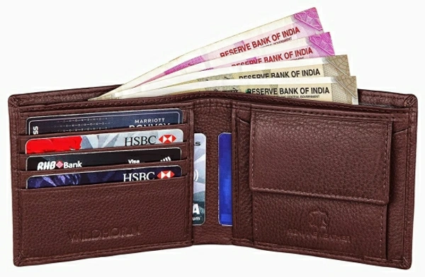WILDHORN Men Formal Brown Genuine Leather Wallet - Brown