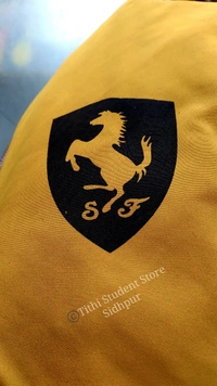 School Bag TSS128225 - Lightweight yet durable backpack/daypack for school /college use or everyday outingsPadded back pane, 12×16×4 inch, Light Yello with Ferrari logo