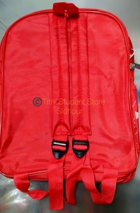 Boys School Backpack TSS08145 - Chota Bheem