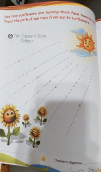 AP Activities Book A  - A