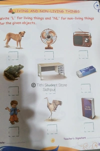 AP Activity Book D - D