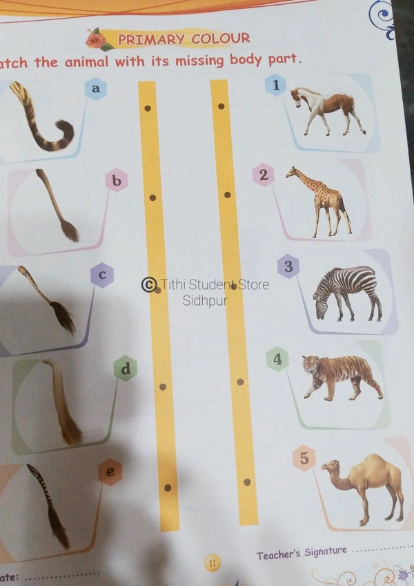 AP Activity Book D - D