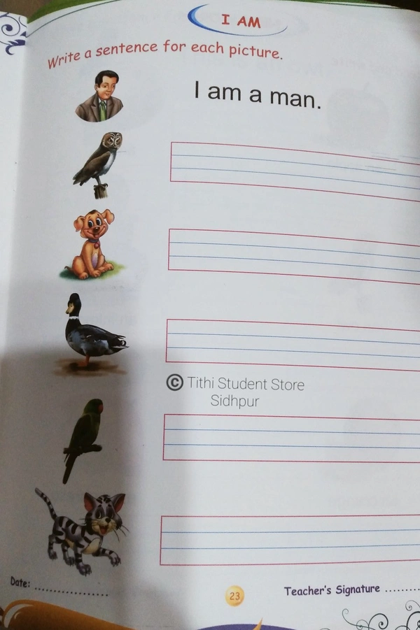 AP Activity Book B - B