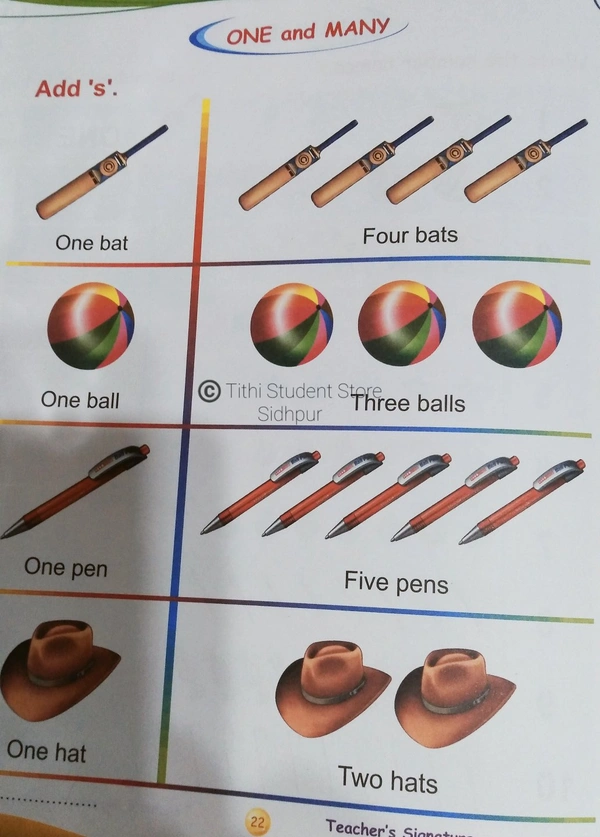 AP Activity Book B - B