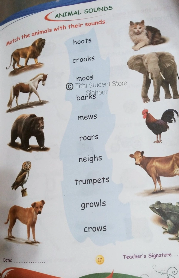 AP Activity Book C  - C