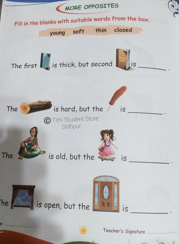 AP Activity Book C  - C