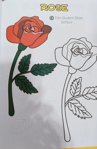 Enjoy Colouring Flowers - Flowers