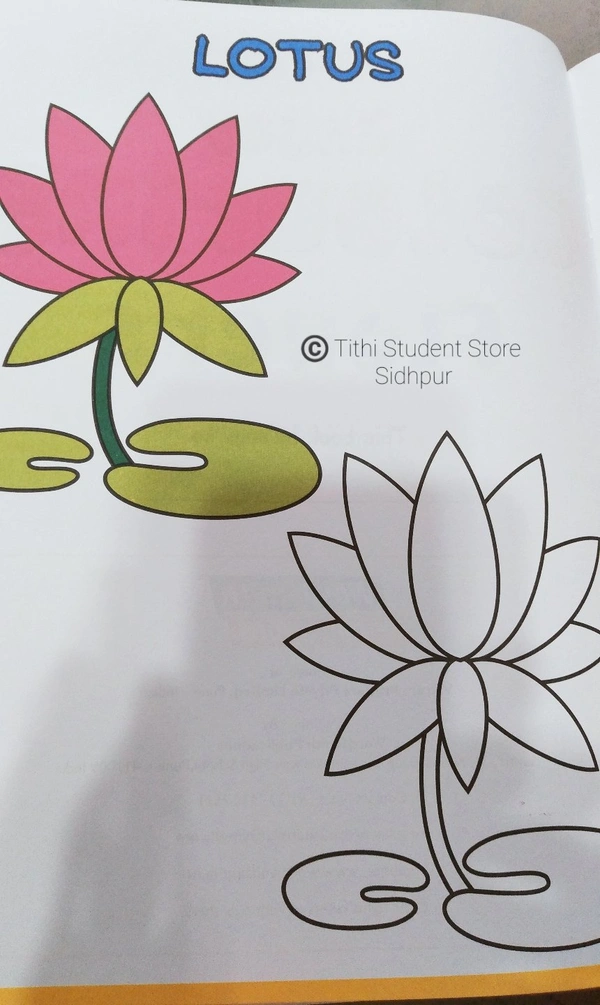 Enjoy Colouring Flowers - Flowers