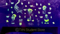  Radium Glowing Children's Room Decor  - Chota Bheem