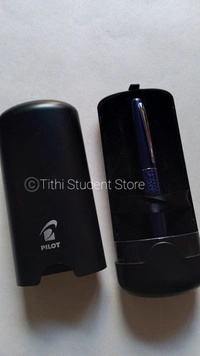 Pilot Leopard Fountain Pen 