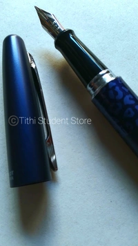 Pilot Leopard Fountain Pen 