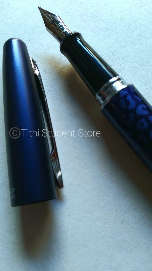 Pilot Leopard Fountain Pen 