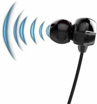 boat  Rockerz 325 Bluetooth Earphone  - Black, Without Guarantee
