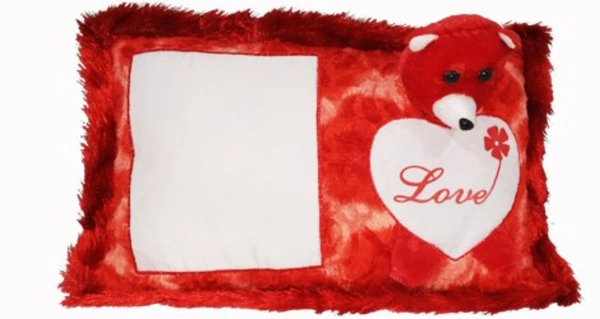 Teddy Pillow  - PINK,RED