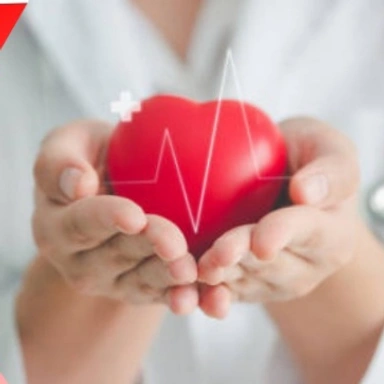 Heart