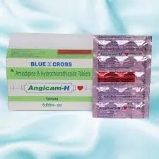 Angicam H